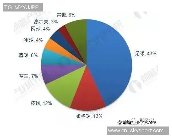 南京足球队在全国锦标赛中的状态分析与表现评估